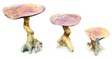 Teak Root Giant Wild Toadstools set of three