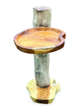 Driftwood Splash Bird Bath