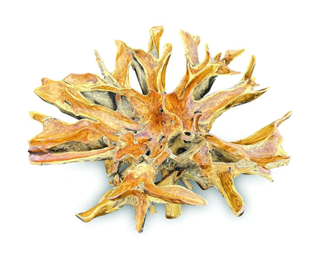 Lombok Round Dining Table With Glass 180 cm