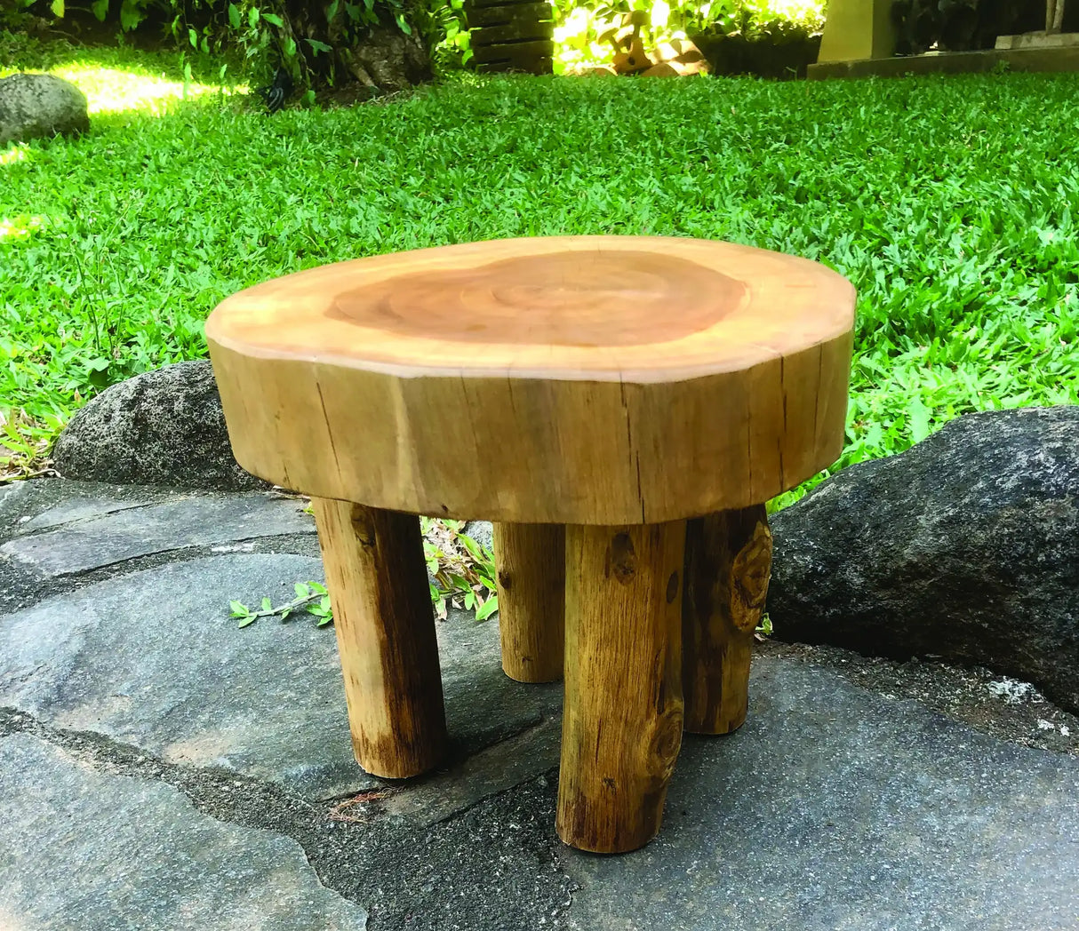 ROOT MINI LAMP TABLE/FOOT STOOL 25X25X20