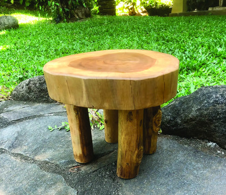 ROOT MINI LAMP TABLE/FOOT STOOL 25X25X20