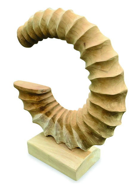 TEAK AMMONITE TRUMPET SCULPTURE