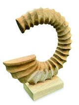 TEAK AMMONITE TRUMPET SCULPTURE