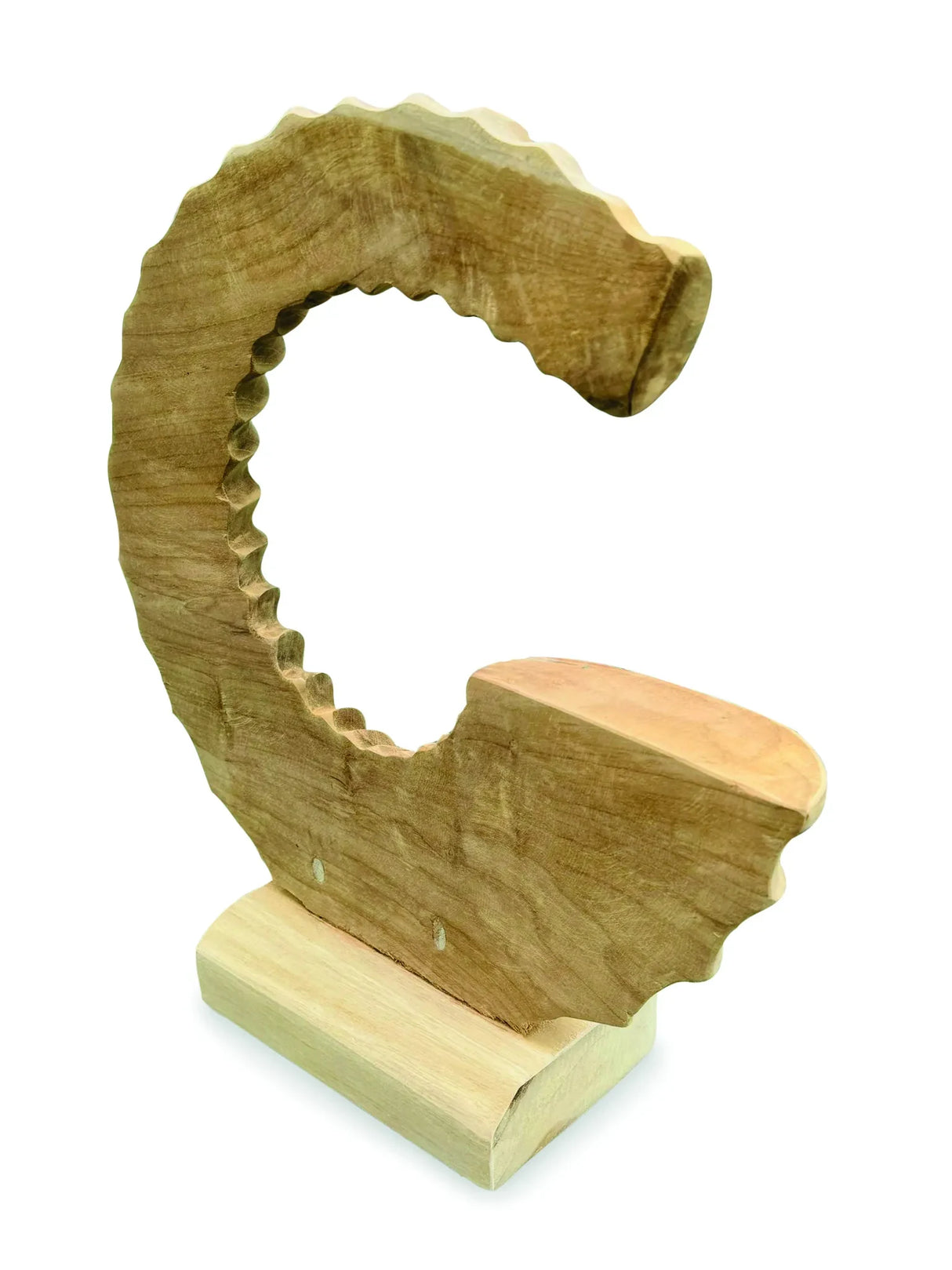 TEAK AMMONITE TRUMPET SCULPTURE