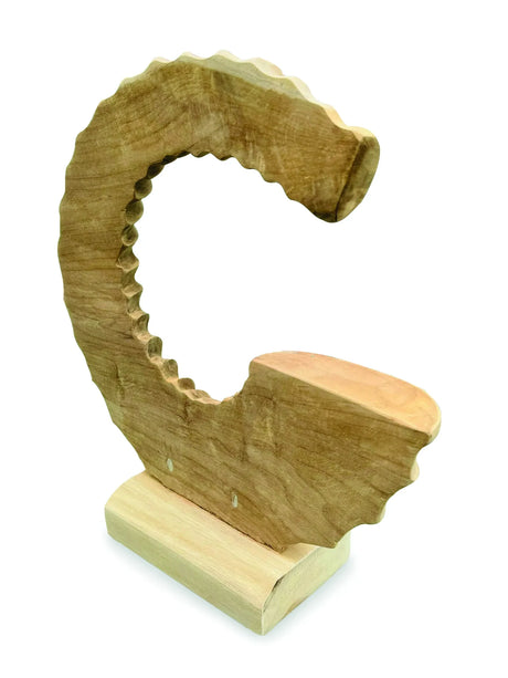 TEAK AMMONITE TRUMPET SCULPTURE
