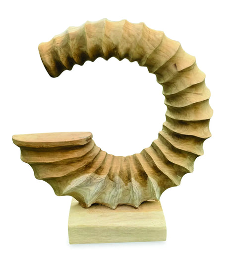 TEAK AMMONITE TRUMPET SCULPTURE