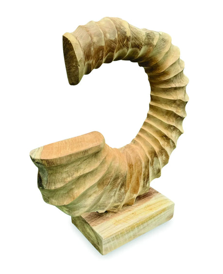 TEAK AMMONITE TRUMPET SCULPTURE