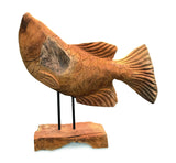 STAR GAZING KOI CARP SCULPTURE