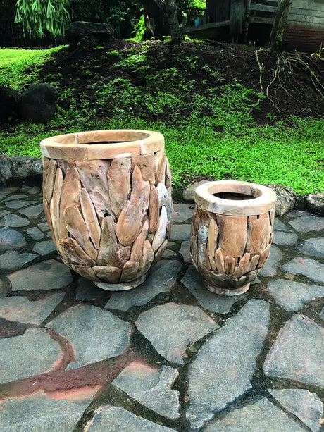 Teak Root Garden Planter Pots Set of 2