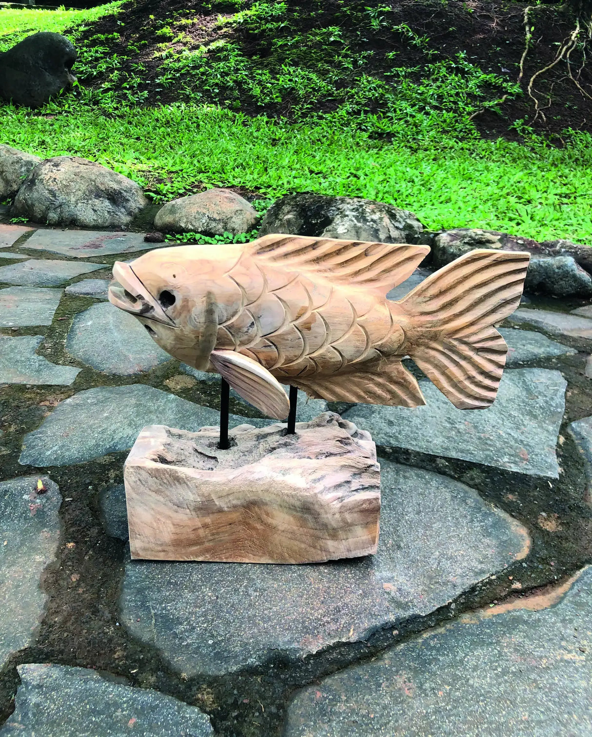Teak Carp Fish on Stand 32 cm