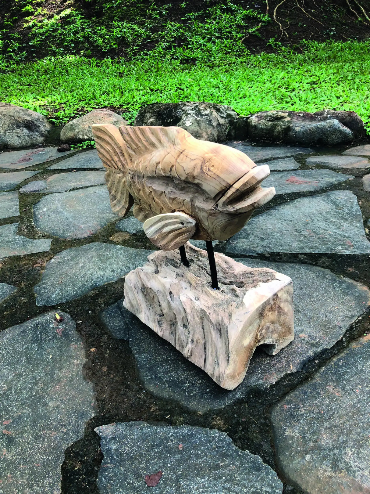 Teak Carp Fish on Stand 32 cm