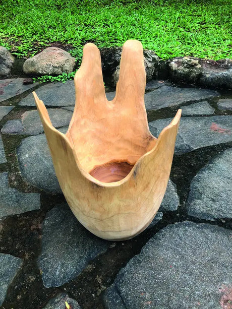 Exotic Driftwood Bowl
