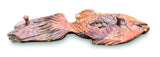 Teak Driftwood Fish Wall coat rack
