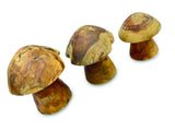 Root Mushrooms - Set of 3