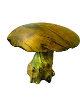 Root Extra Large Mushroom