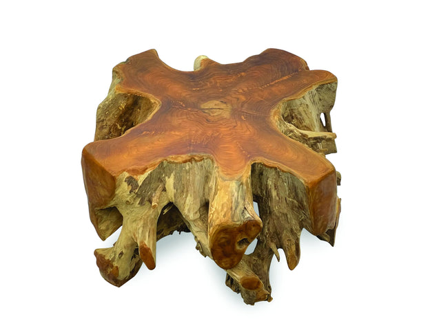 Root Round Spider Coffee Table Medium