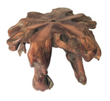 Root Round Spider Coffee Table Medium