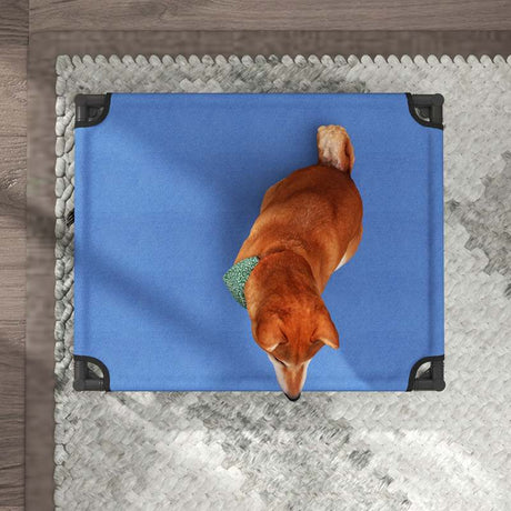 PawHut Raised Dog Bed Cat Elevated Lifted Portable Camping w/ Metal Frame Blue (Medium)