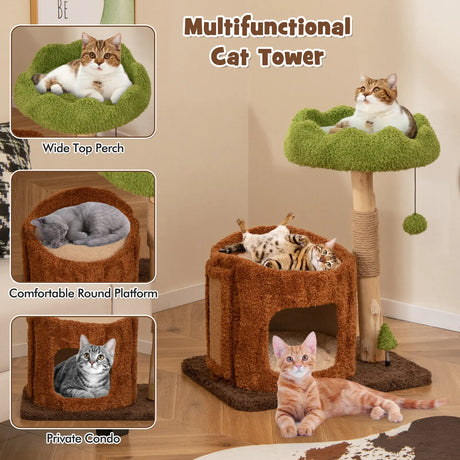 Multifunctional Cat Tree Modern Cat Tower with Sisal Covered Scratching Posts-Brown