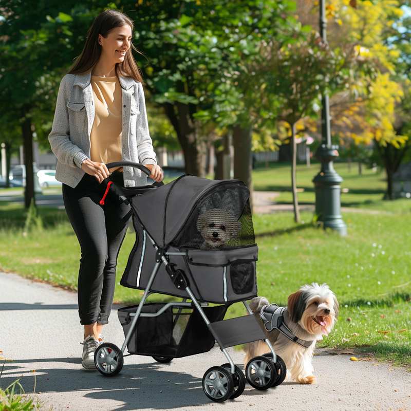 PawHut Foldable Pet Stroller for Small and Miniature Dog, Dark Grey