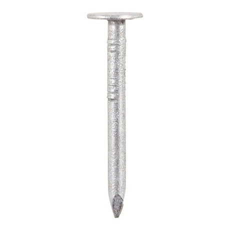 2.5kg - TIMCO Clout Nails Galvanised - 75 x 3.75