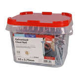 2.5kg - TIMCO Clout Nails Galvanised - 65 x 3.75