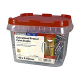 2.5kg - TIMCO Presser Point Staples Galvanised - 40 x 4.00