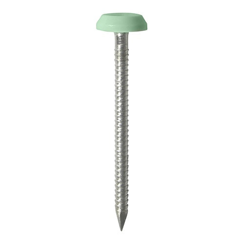 100 x TIMCO Polymer Headed Nails A4 Stainless Steel Chartwell Green - 65mm