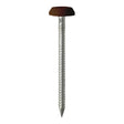 100 x TIMCO Polymer Headed Nails A4 Stainless Steel Mahogany - 50mm