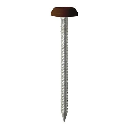 100 x TIMCO Polymer Headed Nails A4 Stainless Steel Mahogany - 50mm