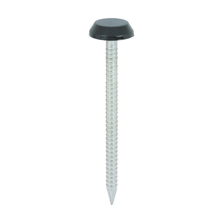 100 x TIMCO Polymer Headed Nails A4 Stainless Steel Black - 50mm