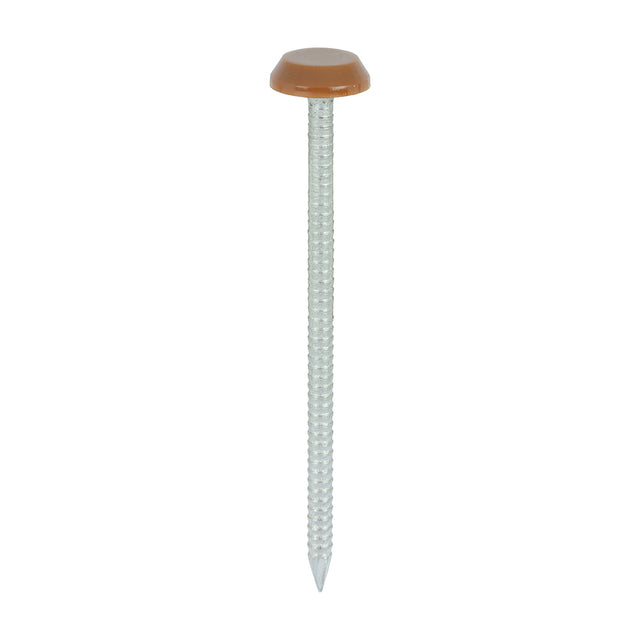 100 x TIMCO Polymer Headed Nails A4 Stainless Steel Clay Brown - 65mm
