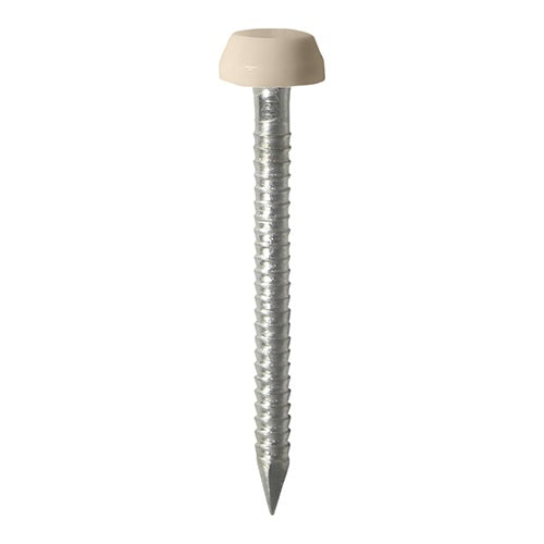 250 x TIMCO Polymer Headed Pins A4 Stainless Steel Beige - 25mm