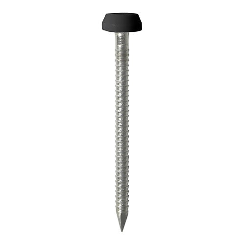 250 x TIMCO Polymer Headed Pins A4 Stainless Steel Black - 40mm