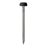 50 x TIMCO Polymer Headed Pins A4 Stainless Steel Black - 40mm