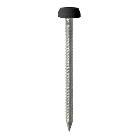 50 x TIMCO Polymer Headed Pins A4 Stainless Steel Black - 40mm