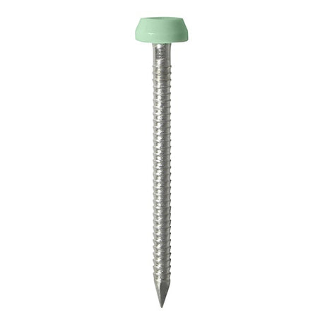 250 x TIMCO Polymer Headed Pins A4 Stainless Steel Chartwell Green - 30mm