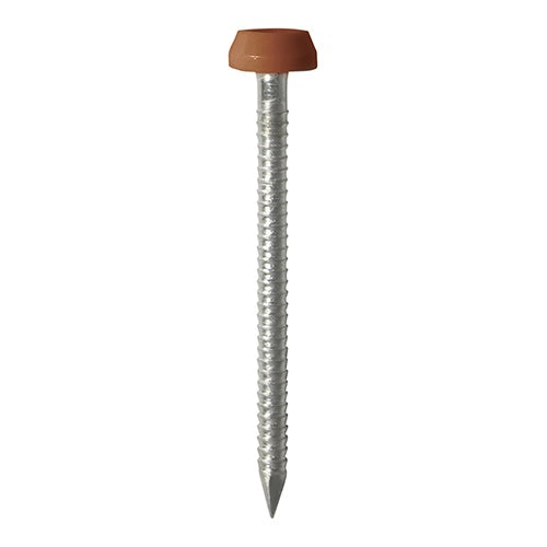 250 x TIMCO Polymer Headed Pin A4 Stainless Steel Clay Brown - 40mm