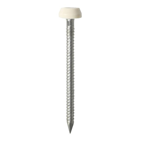 250 x TIMCO Polymer Headed Pin A4 Stainless Steel Cream - 40mm