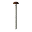 250 x TIMCO Polymer Headed Pins A4 Stainless Steel Mahogany - 30mm