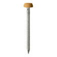 250 x TIMCO Polymer Headed Pins A4 Stainless Steel Oak - 30mm