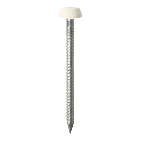 250 x TIMCO Polymer Headed Pins A4 Stainless Steel White - 40mm