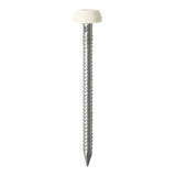 50 x TIMCO Polymer Headed Pins A4 Stainless Steel White - 40mm