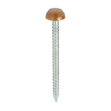 250 x TIMCO Polymer Headed Pins A4 Stainless Steel Clay Brown - 30mm