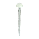 250 x TIMCO Polymer Headed Pins A4 Stainless Steel Cream - 30mm