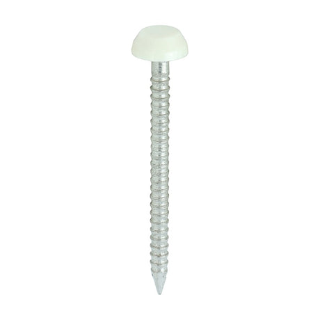 250 x TIMCO Polymer Headed Pins A4 Stainless Steel Cream - 30mm