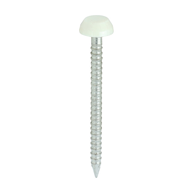 250 x TIMCO Polymer Headed Pins A4 Stainless Steel Cream - 30mm