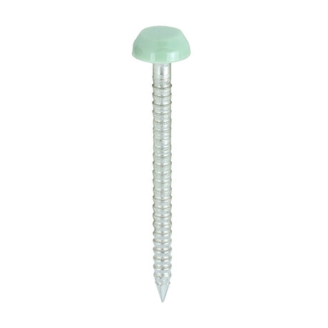 250 x TIMCO Polymer Headed Pins A4 Stainless Steel Chartwell Green - 30mm