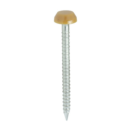 250 x TIMCO Polymer Headed Pins A4 Stainless Steel Oak - 30mm