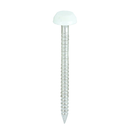 250 x TIMCO Polymer Headed Pins A4 Stainless Steel White - 30mm